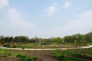 Panorama părţii centrale a parcului