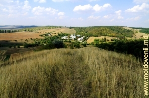Vedere spre Mănăstirea Dobrușa și împrejurimile ei din vîrful stîncii „Golgota”