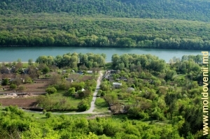 Дальняя часть села вверх по течению Днестра, дальний план
