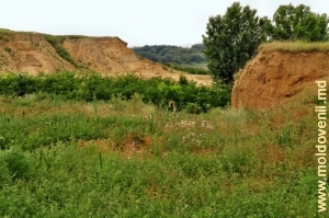 Овраги у села Колибаш, Кагул
