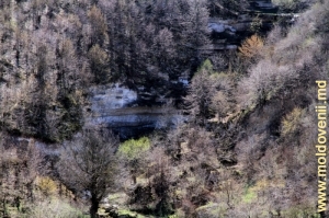 Отвесный склон ущелья над долиной реки Чорна у села Глинжень, Резина
