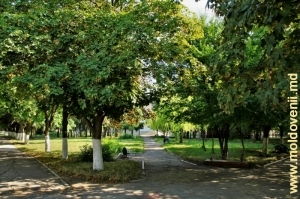 Parcul oraşului Ştefan Vodă