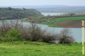 Устье реки Раковэц и слияние с Прутом у села Корпачь, Единец