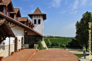 Fabrica de vinuri din satul Purcari, Ştefan Vodă