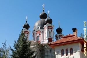 Cupolele noi ale Bisericii Naşterea Maicii Domnului, Mănăstirea Curchi, 2010