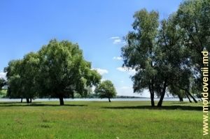 Lacul de acumulare de pe rîul Botna în satul Costeşti, Ialoveni