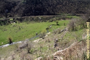 Долина реки Чорна у села Глинжень, Резина. Апрель, 2013 г.