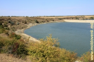 Вид на плотину с берега нижнего течения реки Раковэц