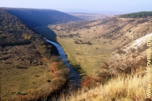 Valea Răutului lîngă Trebujeni, Orhei