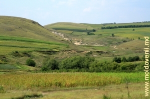 Овраги и ущелье над рекой Лопатник на вблизи окраины села Каракушений Векь