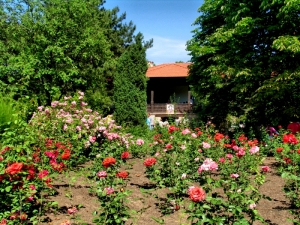 Вид на усадьбу со стороны цветника