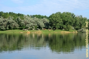 На берегу озера у села Князевка