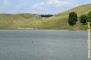 Водохранилище на реке Лопатник вблизи села Каракушений Векь