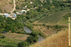 Răutul care curge prin satul Butuceni