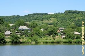 Озеро в селе Леордоая