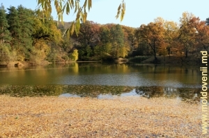 Озеро перед монастырем, ноябрь 2011