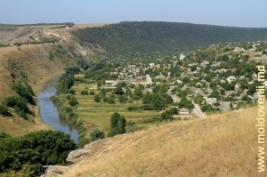 Vedere spre Răut lîngă satul Trebujeni în direcţia vestică, prim-paln