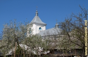 Купола летней церкви монастыря Хирова, Орхей