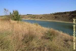 Река Раковэц в нижнем ее течении вблизи устья