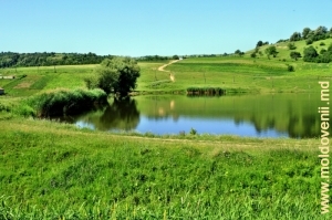 Primul lac de acumulare de pe Botna în satul Horodca, Ialoveni