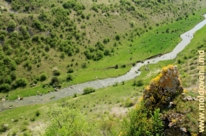 Река Раковэц в ущелье у села Буздуджень, Единец