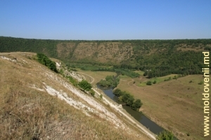 Vedere în direcţia sud-vestică spre valea Răutului după satul Trebujeni de pe panta stîngă a masivului de stînci