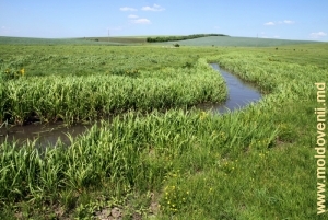 Rîul Cubolta între satele Plop şi Maramonovca