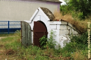 Un beci vechi, satul Rudi