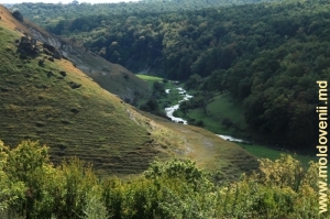 Река Раковэц в урочище «Ла Кастел»