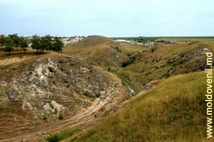 Вид ущелья у села Вэратик сверху с левого склона