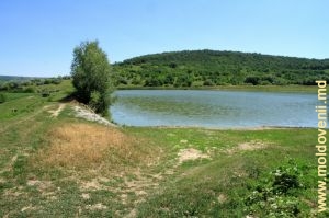 Озеро в центре села Новачь