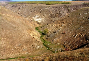 Начальная часть Циповского ущелья и ручей Ципова на дне его