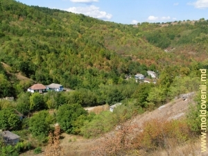 O parte din sat de-a lungul defileului pîrîiaşului Cosărău