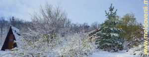 Iarna în eco-satul Sceastlivoe