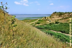 Озеро Ротунда у села Манта, Кагул