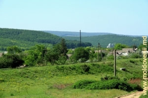 Вид на окраину села Тигеч Леовского района и поросшие лесом холмы Тигечской возвышенности
