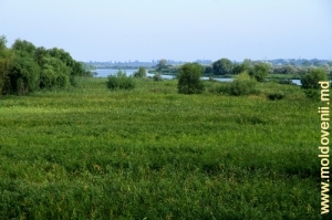 Днестр вблизи устья в Одесской области, Украина