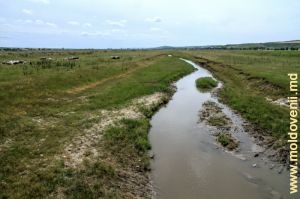 Река Когыльник у села Карабетовка, Басарабяска