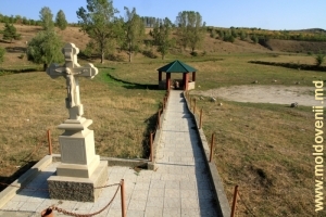 Два источника на берегу реки Раковэц вблизи моста у села Брынзень