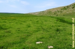 Valea Camencei la poalele recifului Buteşti între satele Buteşti şi Cobani