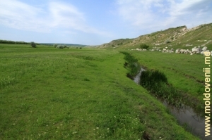 Valea Camencei la poalele Recifului Buteşti între satele Buteşti şi Cobani