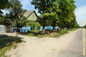Străzi şi case ale satului Palanca, Ştefan Vodă