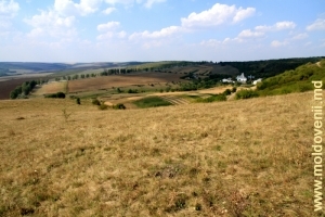 Vedere de pe panta dealului spre Mănăstirea Dobruşa, plan îndepărtat