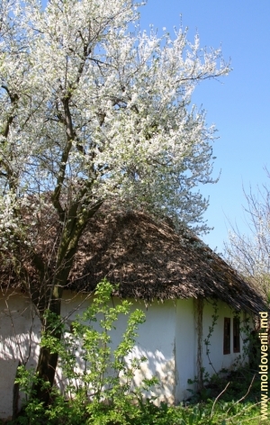 Casă veche în apropierea Mănăstirii Hirova, Orhei