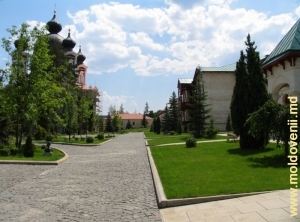 Curtea Mănăstirii Curchi, anul 2010