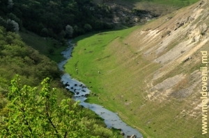 Река Раковэц в урочище «Ла Кастел»