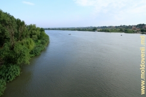Днестр вблизи устья в Одесской области, Украина