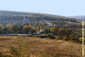 Mănăstirea Curchi, vedere de pe panta estică a colinei, noiembrie 2011
