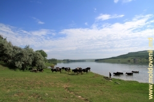 На берегу озера у села Князевка