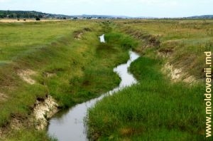 Река Когыльник у села Богдановка Веке, Чимишлия